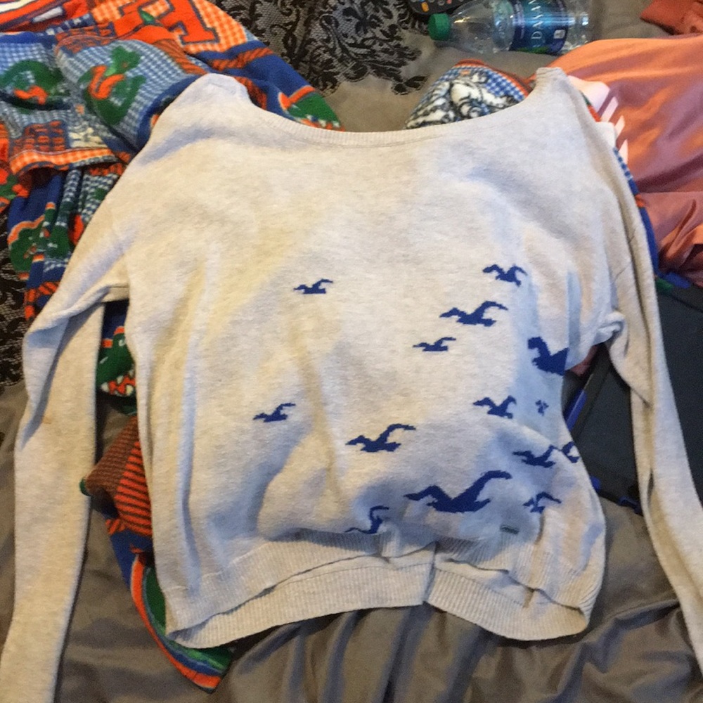 Hollister sweater